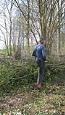 IMG 0629lr (2)