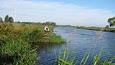 IMG 0172lr