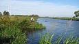 IMG 0173lr