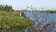 IMG 0184lr